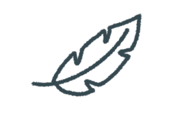 feather icon