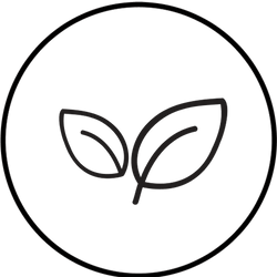 bpa-free, no phthalates